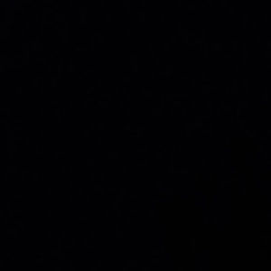 Meet your Posher, Paige